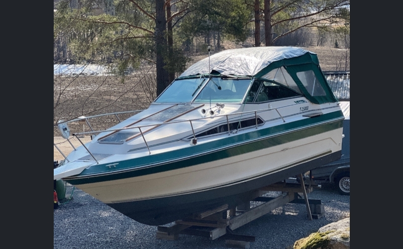 Sea Ray 250-kuva-8